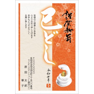 GB25010　年賀状