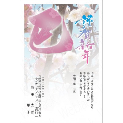 GB25019　年賀状