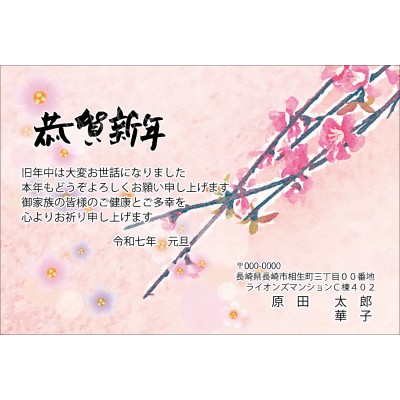 OW25037　年賀状