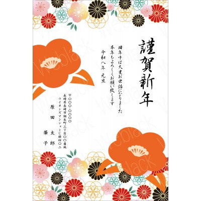 OW26080　年賀状